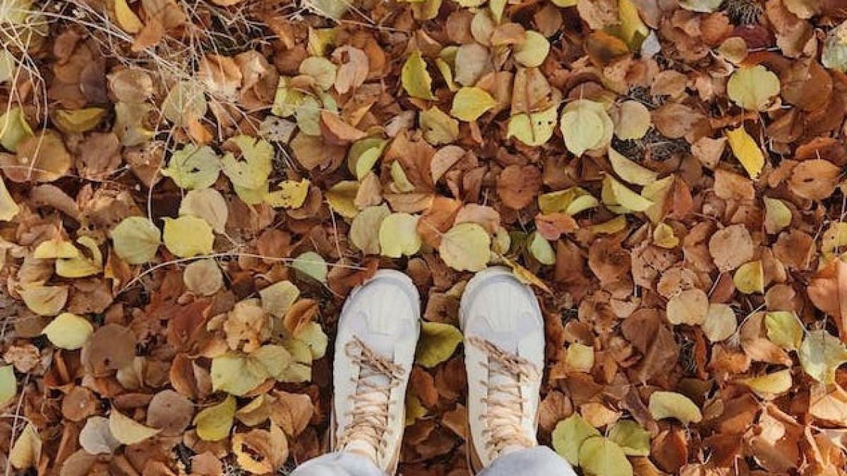 vremea-noiembrie-2023_50791500