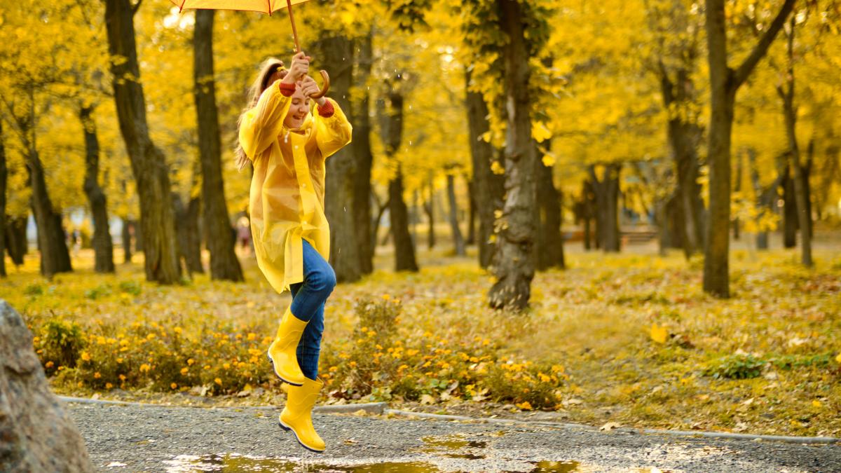 romania--sub-semnul-toamnei--maxima-zilei-nu-va-trece-de-20-de-grade--prognoza-meteo-pentru-urmatoarele-saptamani_88295800