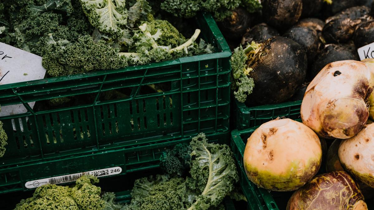 legume-pexels_56061100