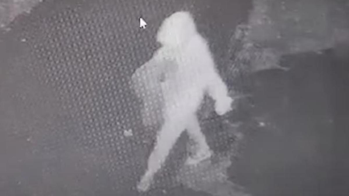 crima-din-mangalia--loredana--trimisa-in-judecata-pentru-ca-si-a-ucis-cea-mai-buna-prietena_87967100