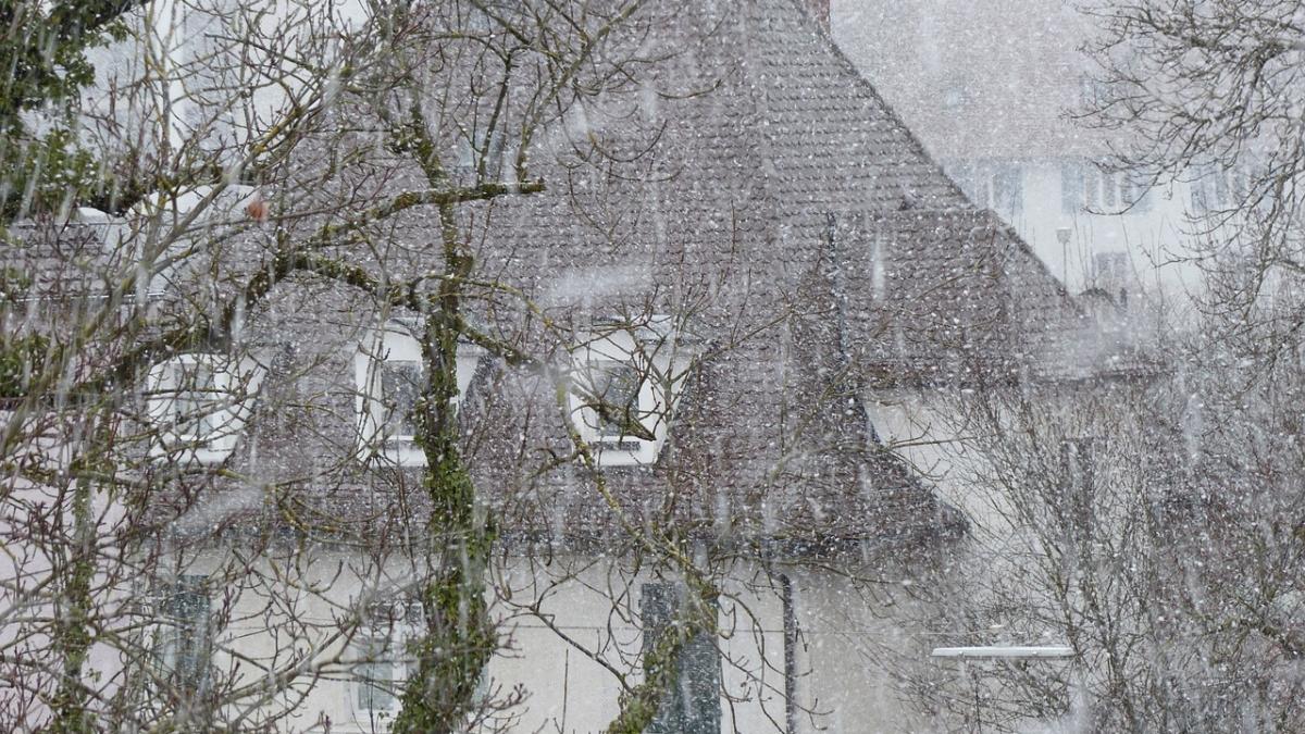 cod-galben-vant-viscol_81186700