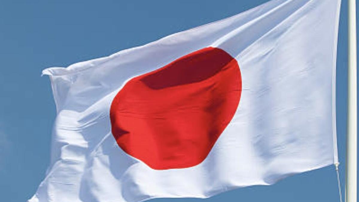 suporterii-niponi--faza-zilei-in-tribune-la-meciul-surpriza-germania---japoniacati-am-face-asta-foto_04441800