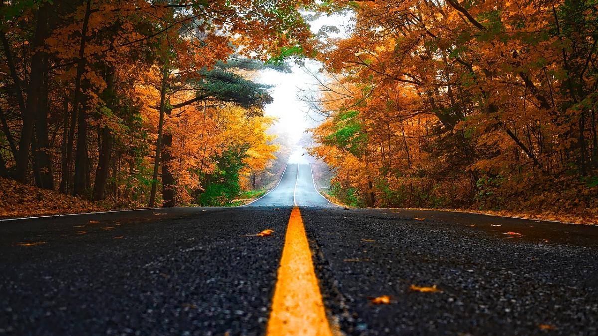 alina-serban-anm-vreme_81880500