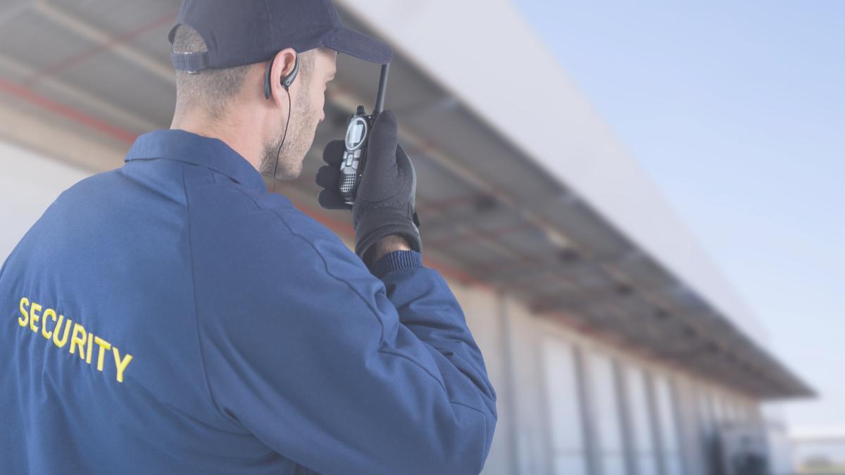 germania--extinderea-controalelor-de-la-granite--pentru-inca-20-de-zile--au-fost-descoperiti-90-de-traficanti-de-persoane_60564300