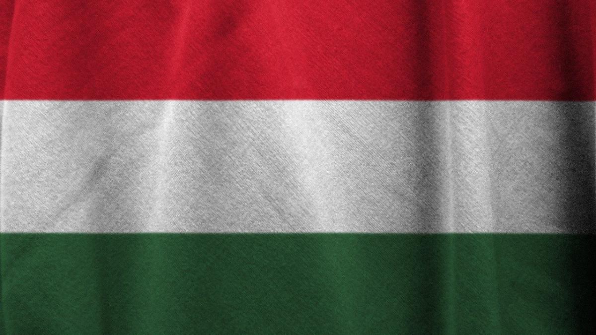 steag-ungaria_02018200