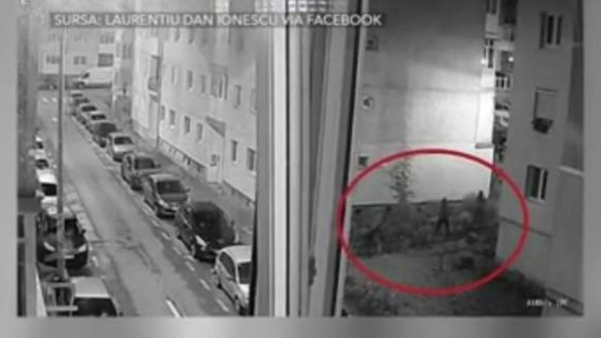 ucigasi-afarist-prinsi_28213500