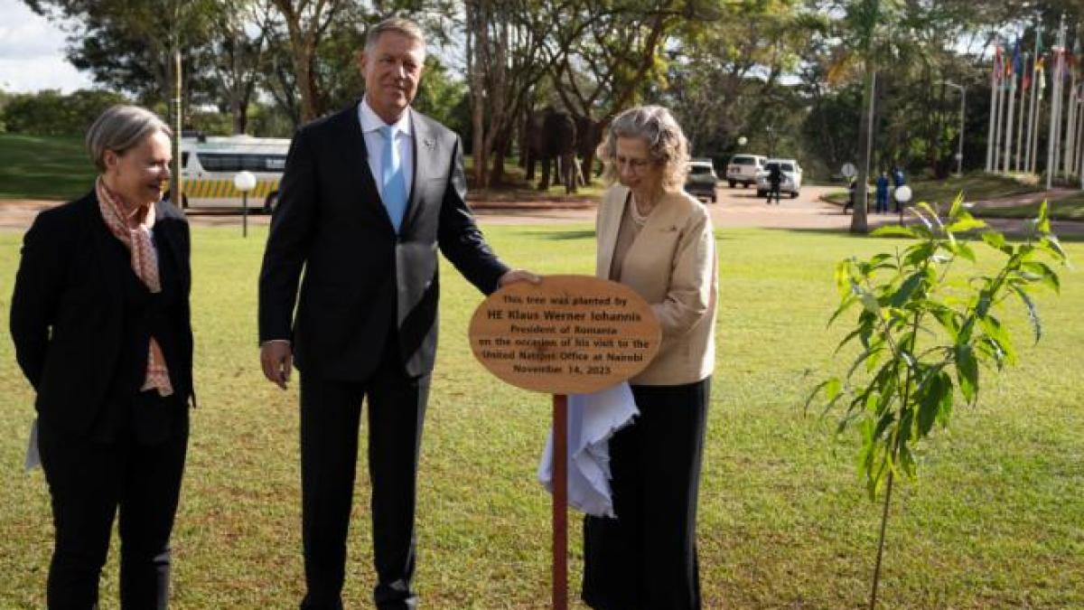 bogdan-chirieac-despre-vizita-presedintelui-iohannis-in-africa-zanzibar-e-o-destinatie-pentru-milionari--iar-domnul-presedinte-merge-pe-milioanele-bugetului-de-stat--ceea-ce-e-foarte-bine-_64492200