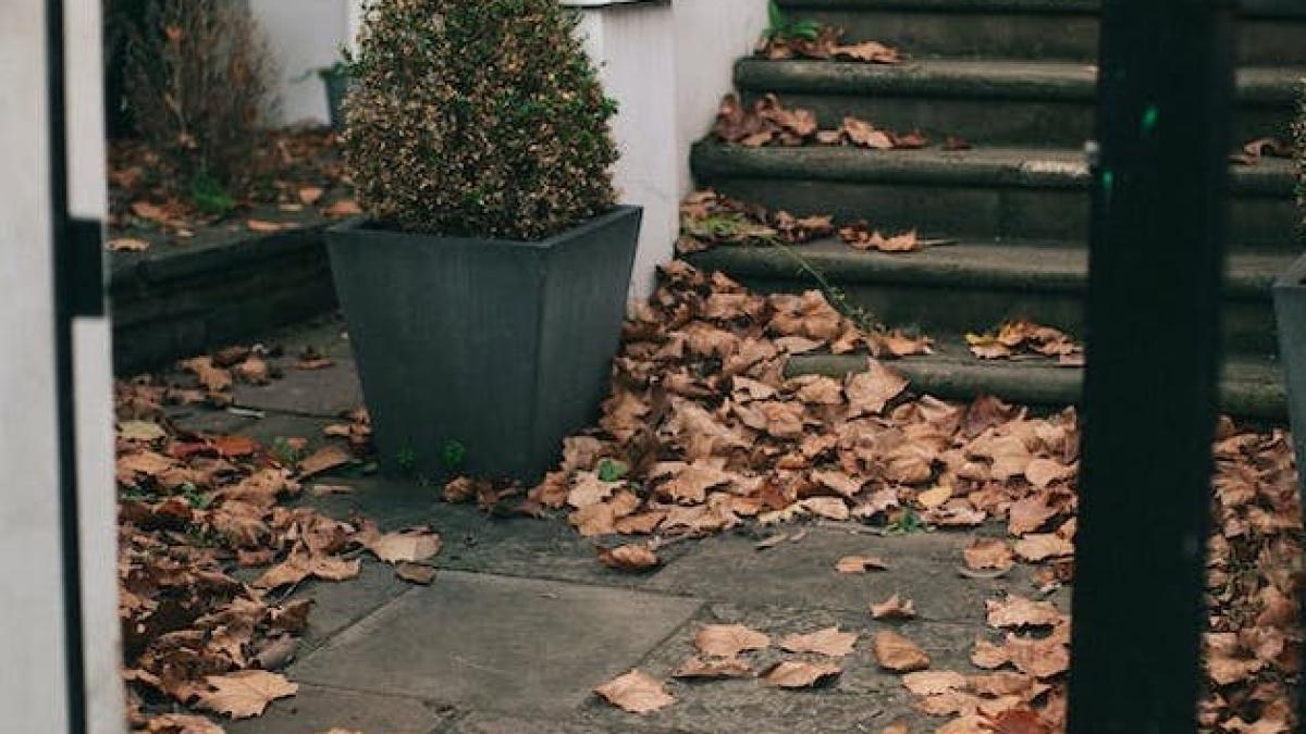 toamna-vremea_08363000