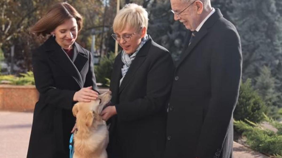 gluma-virala-codrut-maia-sandu_73433800