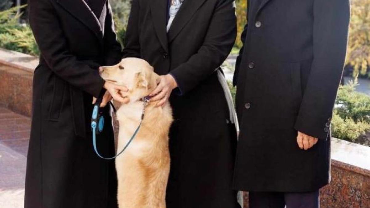 prima-reactie-a-presedintelui-austriei--dupa-ce-a-fost-muscat-de-cainele-maiei-sandu--ce-cadou-i-a-dat-lui-codrut_61560300