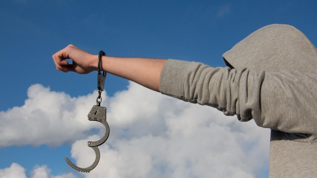 adrian-kreiner-suspect-eliberat_87880800