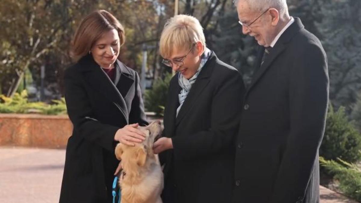 un-patruped-a-taxat-austria-pentru-refuzul-de-a-permite-intrarea-in-schengen-a-romaniei--cezar-osiceanu-explica-de-ce-cainele-maiei-sandu-l-a-muscat-pe-presedintele-austriei_14624400