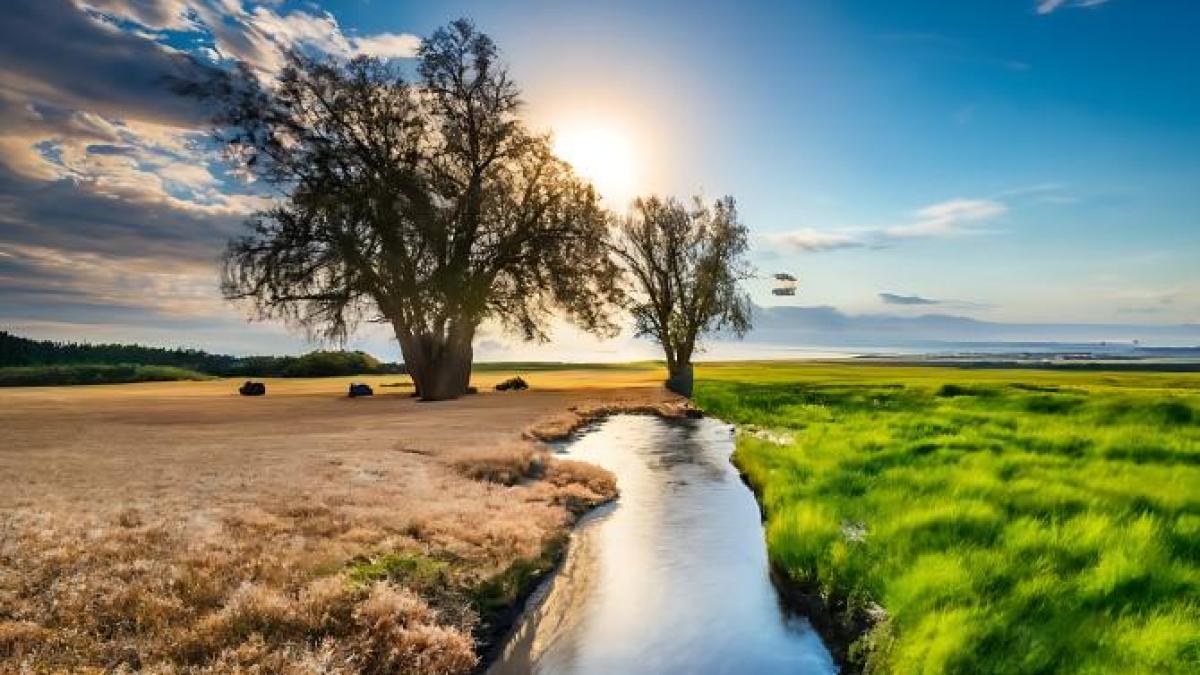 incalzire-globala-clima-roana-bojariu_62532700