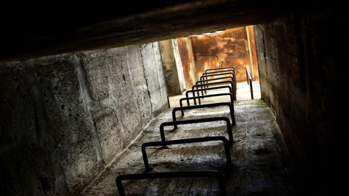 buncar-romania_25743600