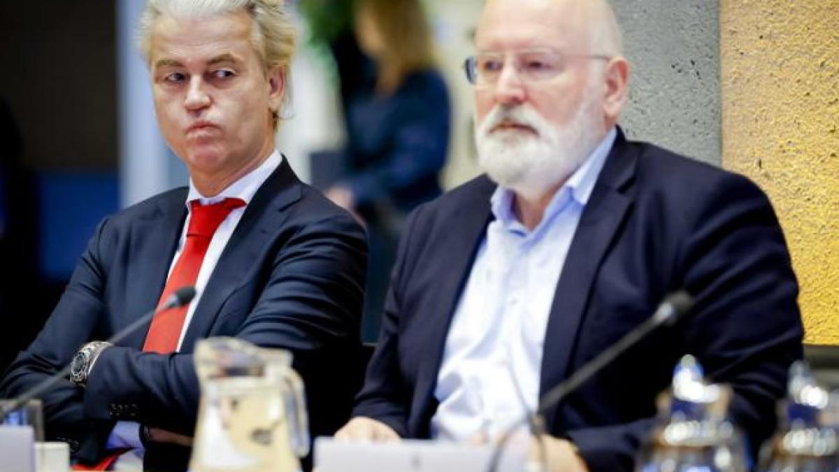 wildersgeert_61175900