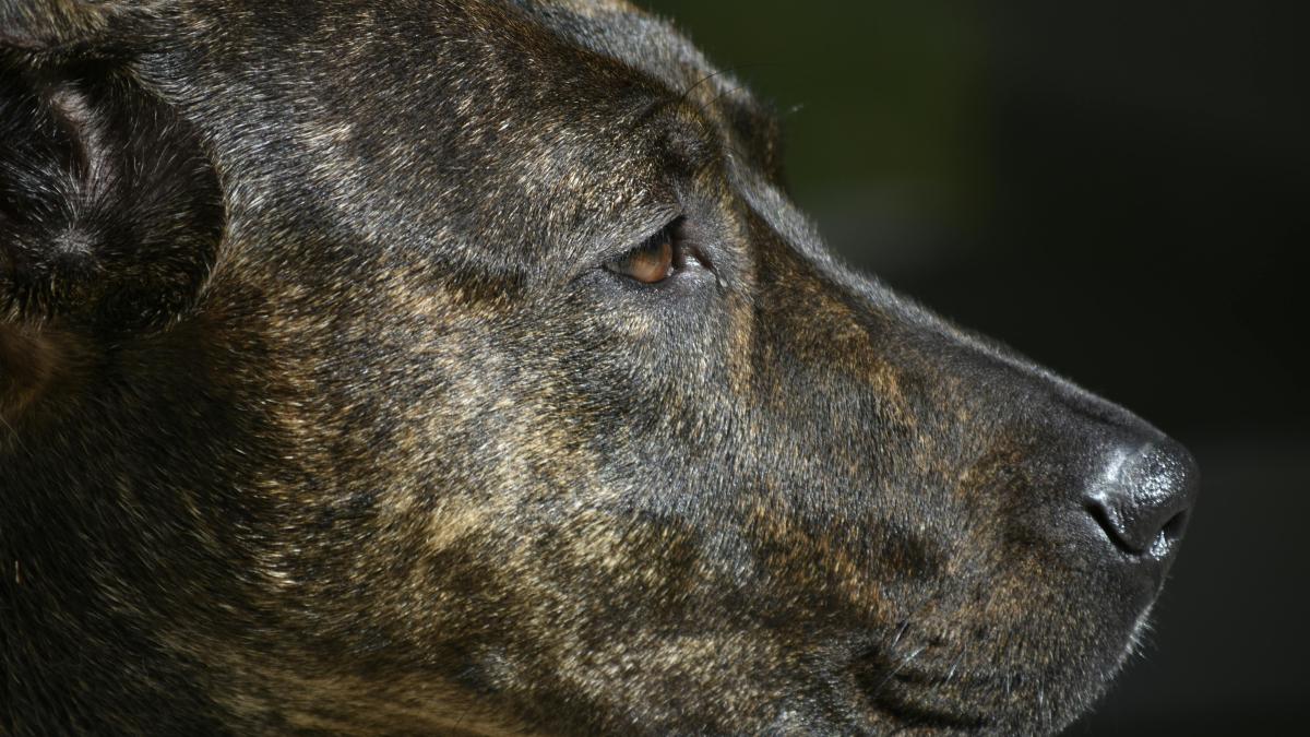 pexels-alexander-alexander-18657433_02069800