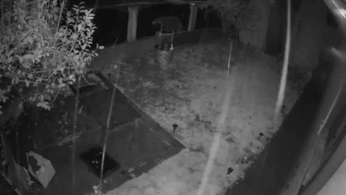 fenomen-meteo-ciudat-in-romania--in-mijlocul-viscolului_02119000