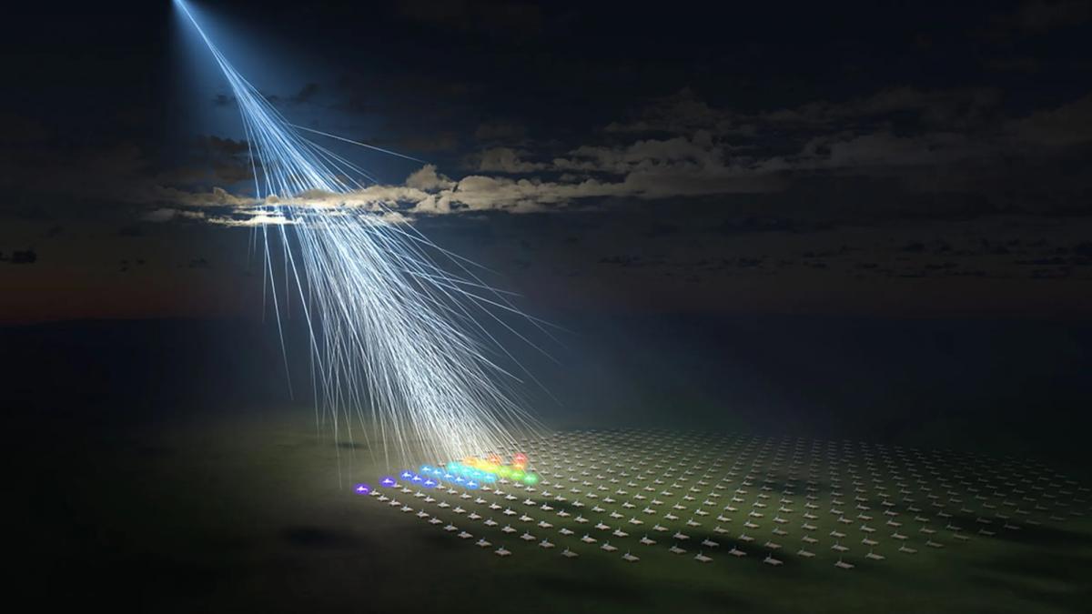 raza-pamant_87495000