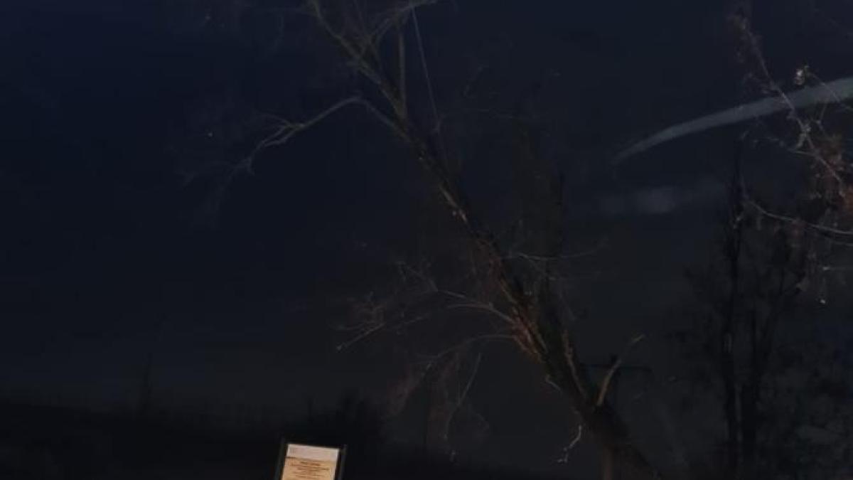 e-distrubtie-dobrogea_00349300