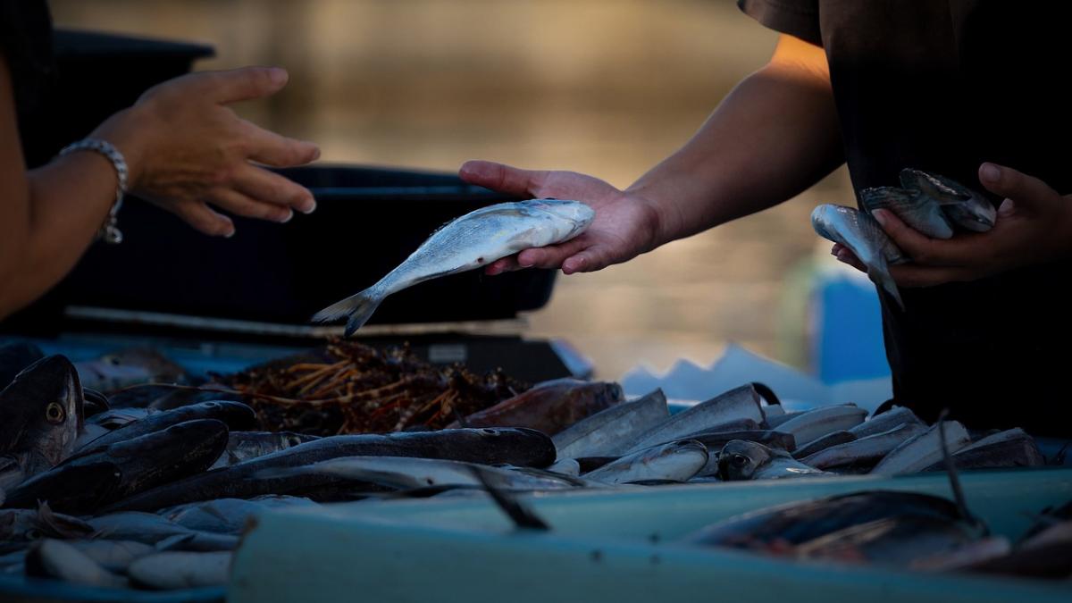 peste-medic-florin-rosu_81440700