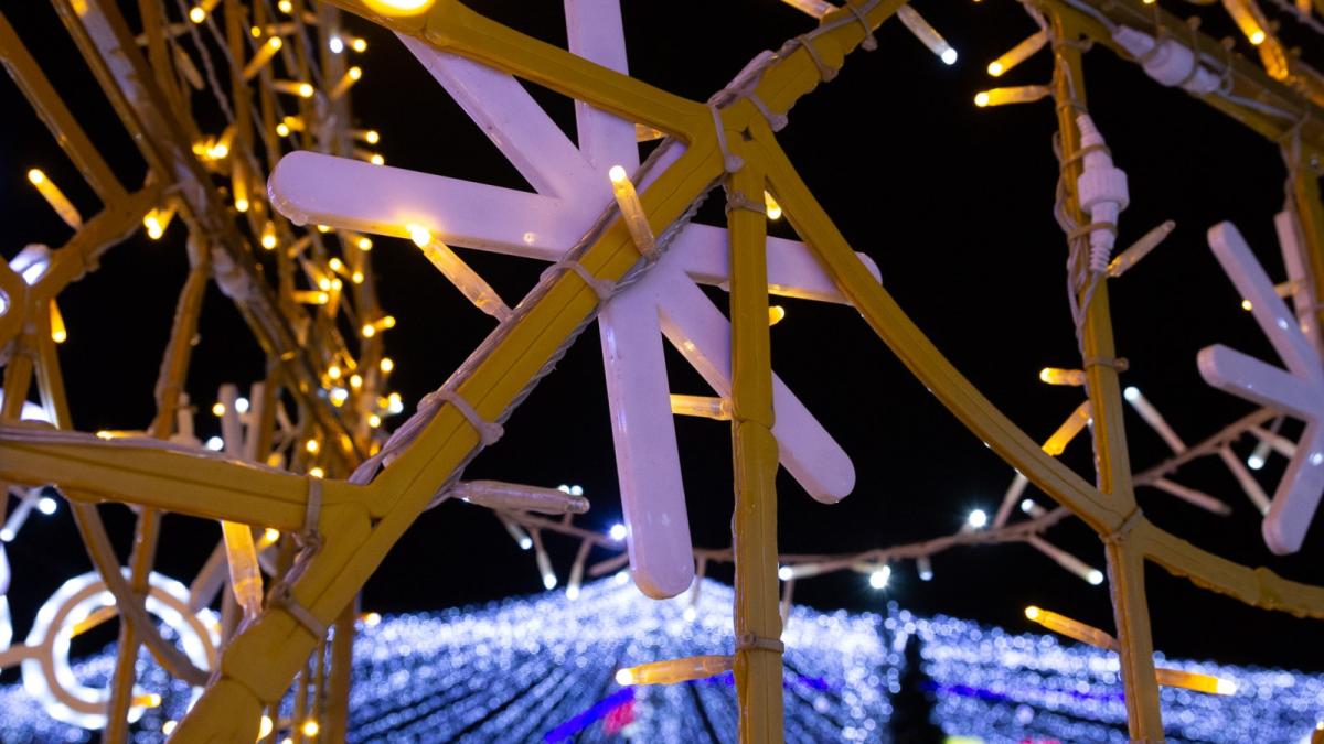 iluminatul-festiv-din-tulcea--intarziat-pana-la-sf--nicolae--vantul-puternic-din-weekend-a-produs-numeroase-avarii-la-reteaua-de-iluminat-public_49681700