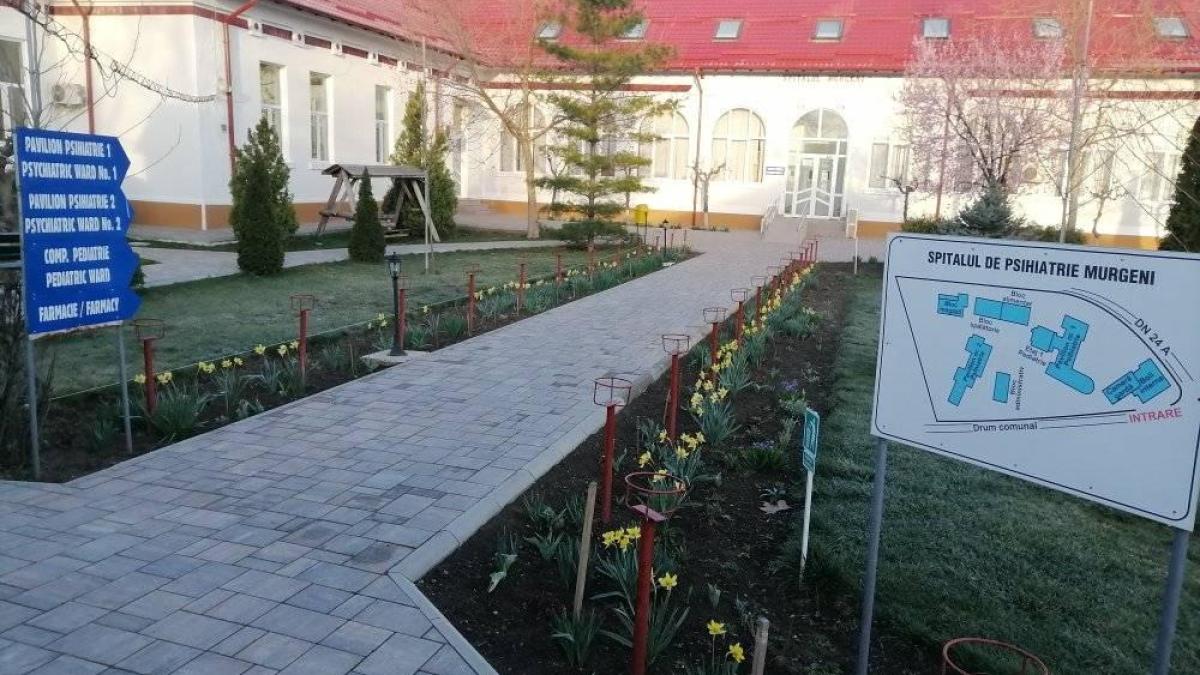 rezultatele-partiale-ale-probelor-din-alimentele-consumate-de-bolnavii-din-murgeni-nu-releva-prezenta-de-substante-toxice_57861100