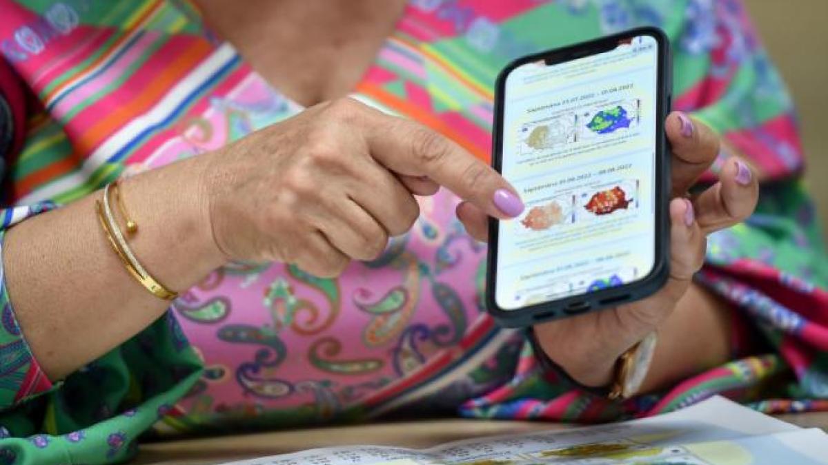 vremea-se-incalzeste-pe-1-decembrie--elena-mateescu--anm-vom-consemna-o-crestere-de-8-18-grade--apoi-o-alta-scadere-semnificativa-de-pe-3-decembrie_34867800