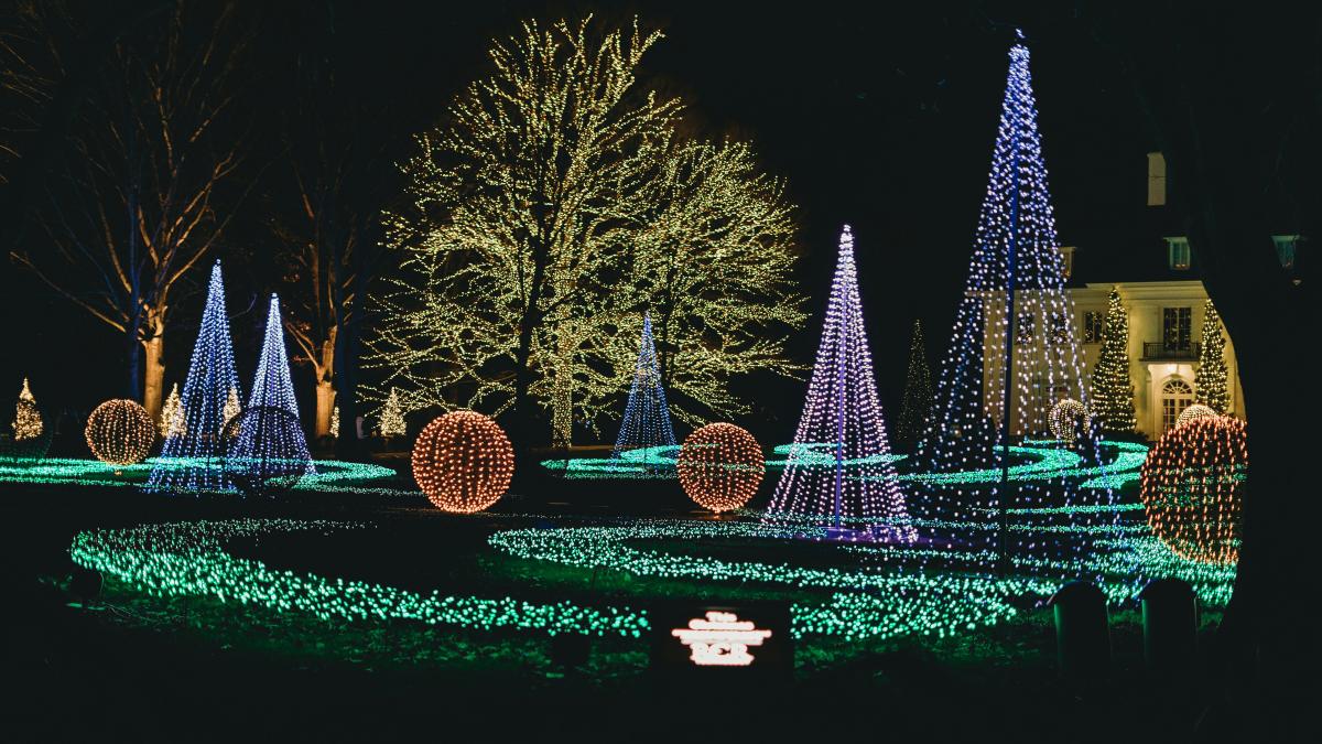 safari-la-slatina_23008600