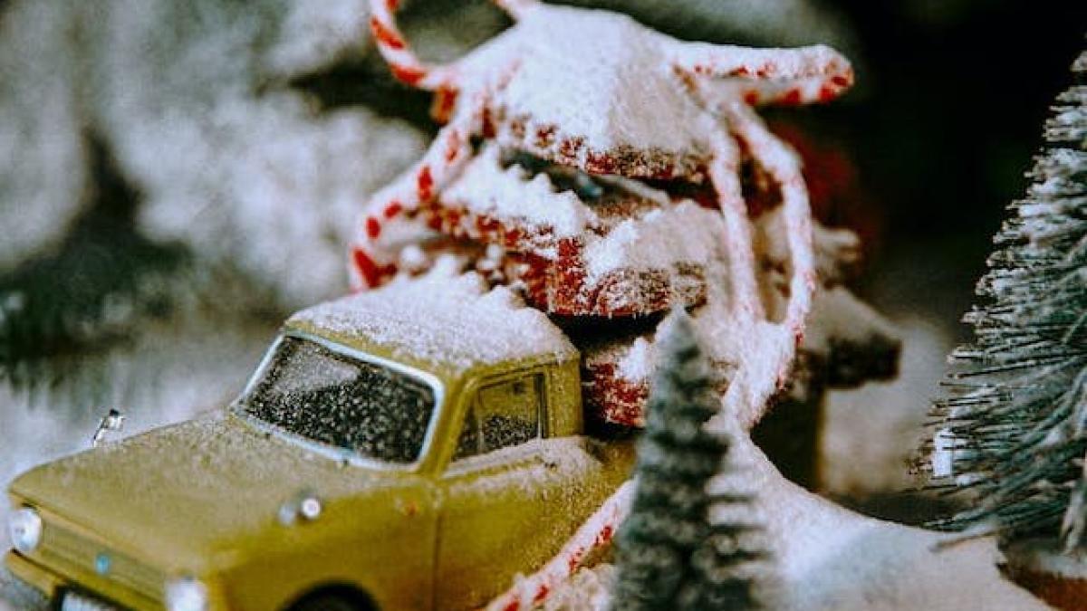 vremea-craciun-revelion-2023-2024_98336500