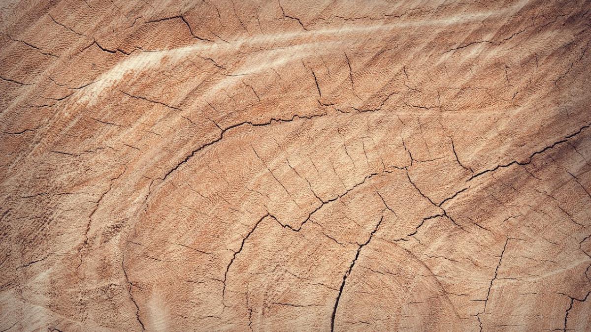 lemn-pexels_73566300