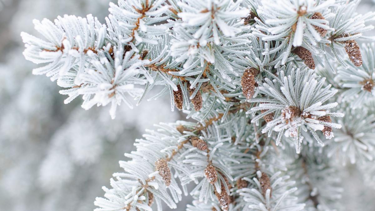 cum-va-fi-vremea-in-perioada-4-10-decembrie--anm--prognoza-meteo-unde-va-ninge-si-ce-temperaturi-vom-avea_53103000