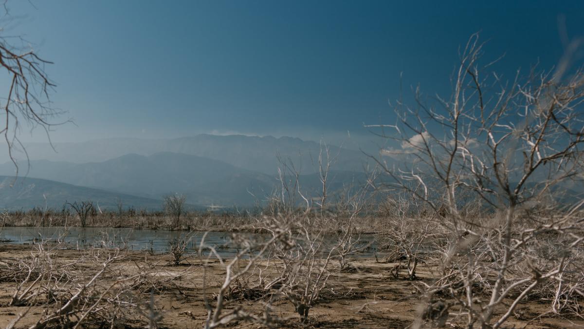 anm-schimbarile-climatice_48362800