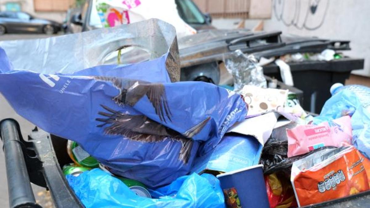 colectare-selectiva-reciclare-gunoi-ilustrativ-dcnews-1_96620200