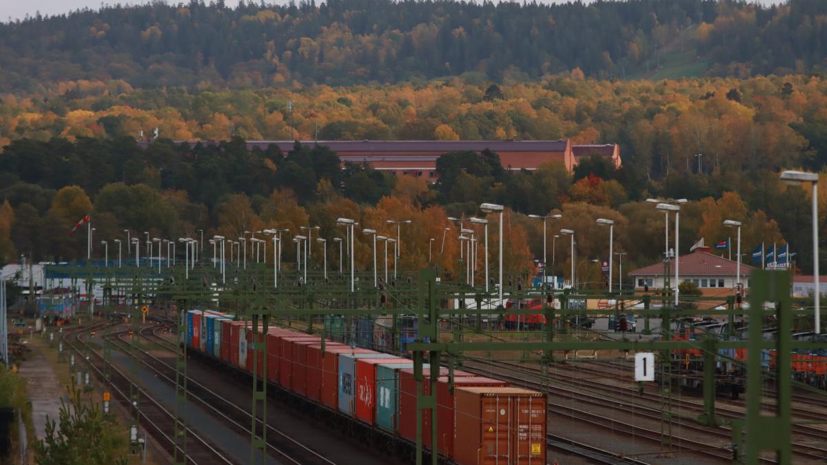 cerealele-ucrainene_53158300