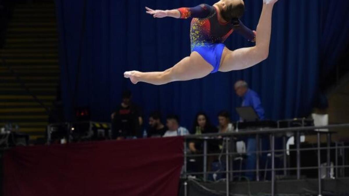 discutii-aprinse-intre-elisabeta-lipa-si-federatia-romana-de-gimnastica-prc-e2prc-80prc-9deste-finantata-din-4-directiiprc-e2prc-80prc-9d_28245700