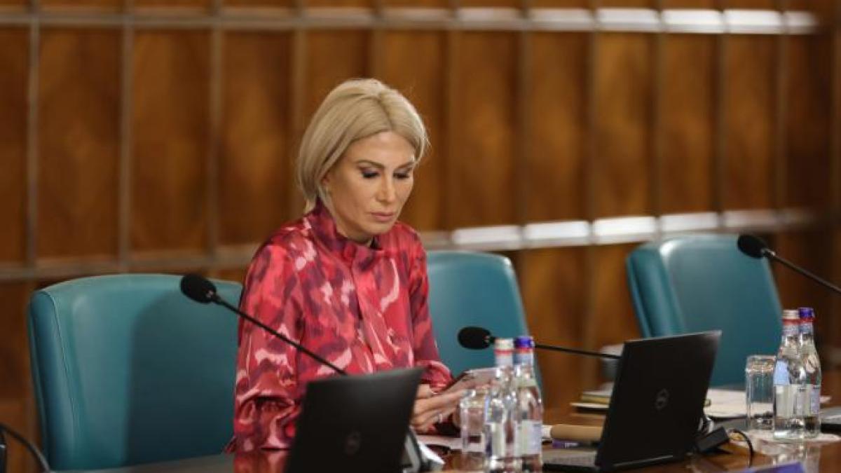 guvernul-a-aprobat-schema-de-sprijin-pentru-industria-cinematografica-din-romania--un-nou-apel-de-proiecte--lansat-in-2024_45487400