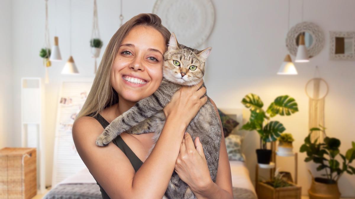 pisica-stapan_46405600