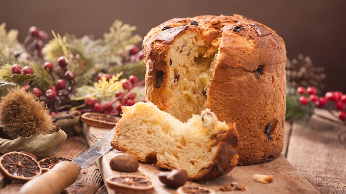 panettone_16705800