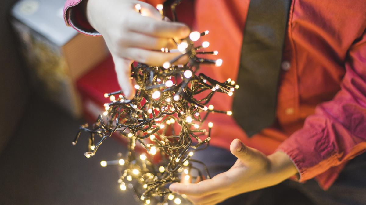 instalatie-de-brad_16590100