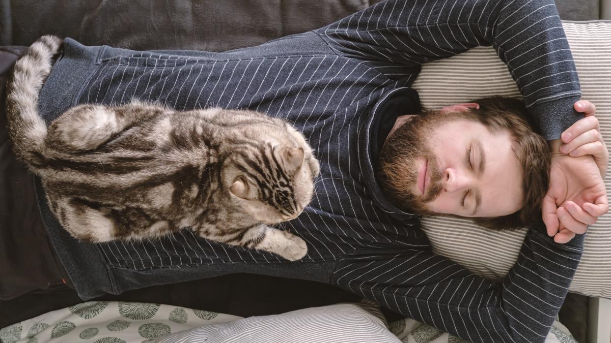 somn-cu-pisica_57043900