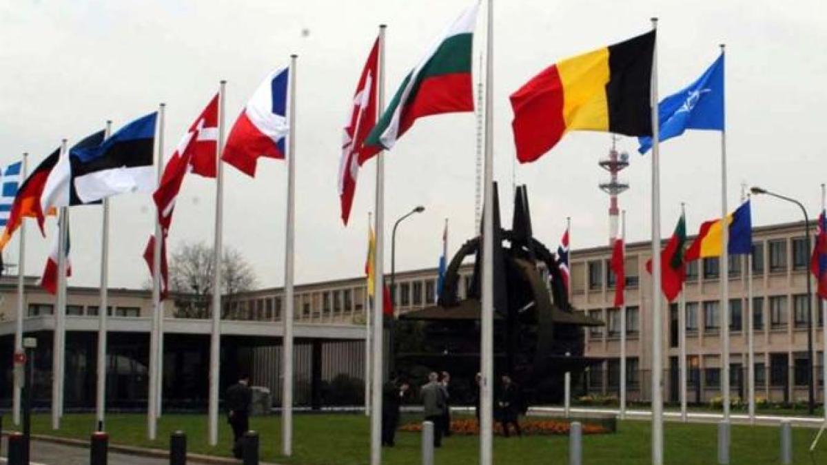 purtator-de-cuvant-al-nato-drona-prabusita-in-romania-nu-a-fost-un-atac-intentionat-al-rusiei-impotriva-aliatilor_89896300