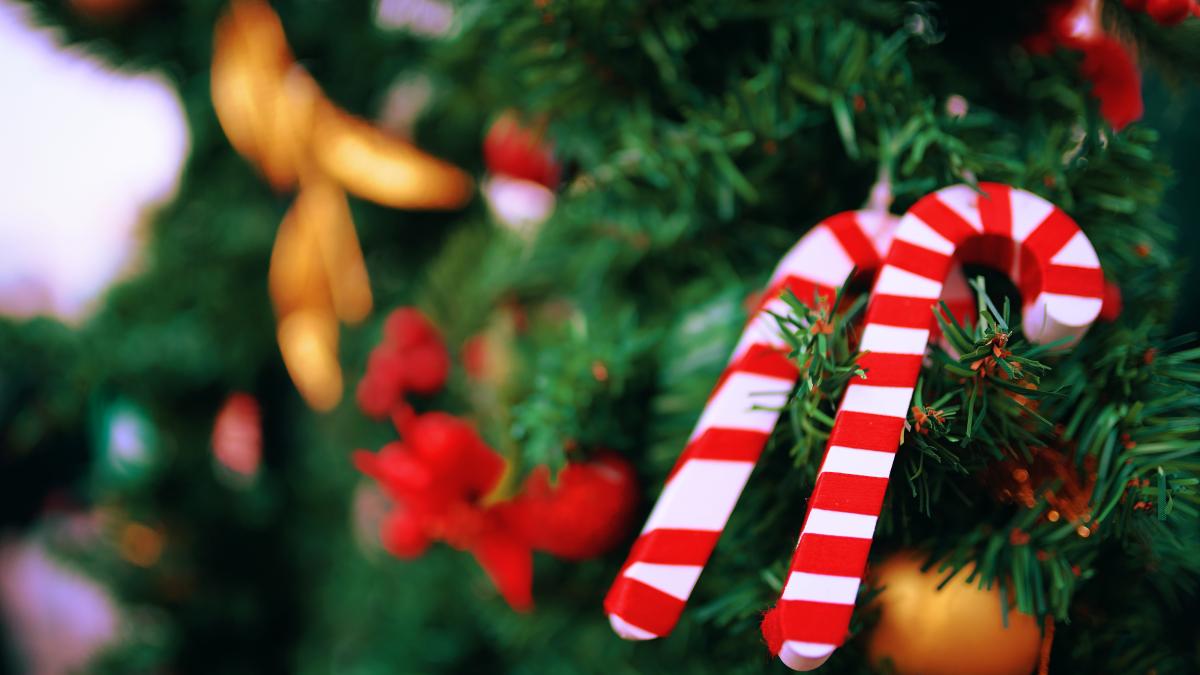 dulciuri-in-brad_62161600