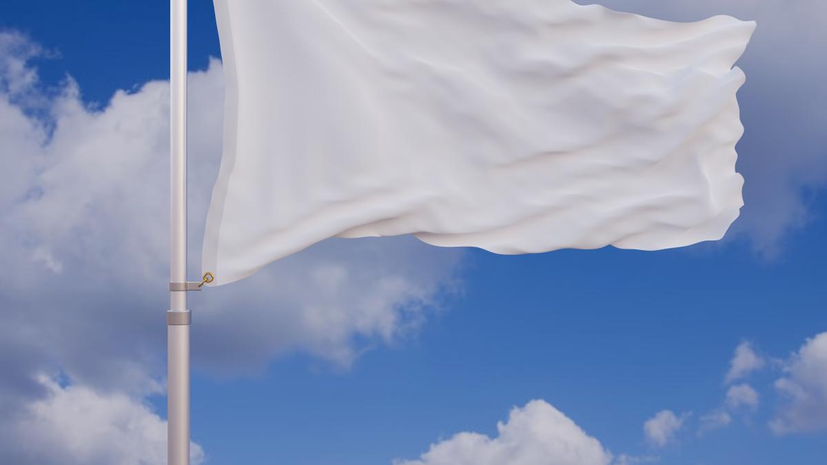 ostaticii-israelieni-impuscati-din-greseala--in-gaza--purtau-un-steag-alb--oficial-prc-e2prc-80prc-9dsoldatul-se-simte-amenintat-si-deschide-foculprc-e2prc-80prc-9d_46801100