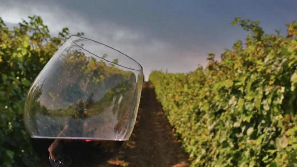 cramele-recas-foto-site_95170500