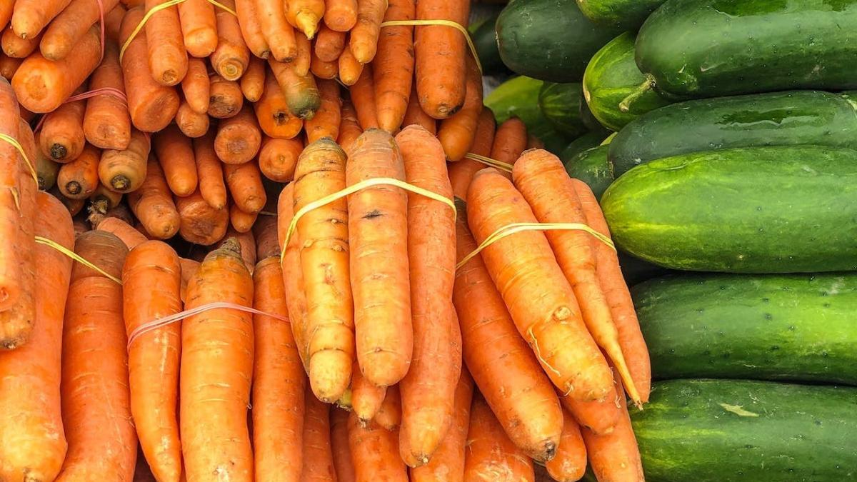 morcov-dovecel_28327300