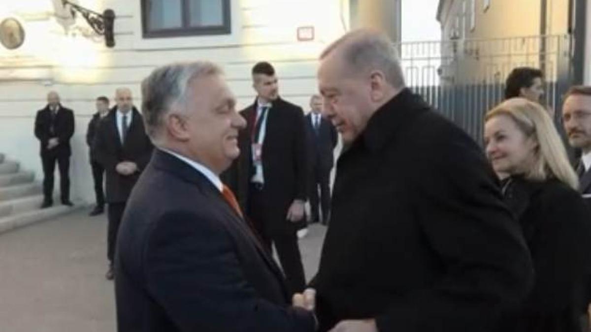 erdogan-si-orban--cadouri-cu-subinteles3_97824100