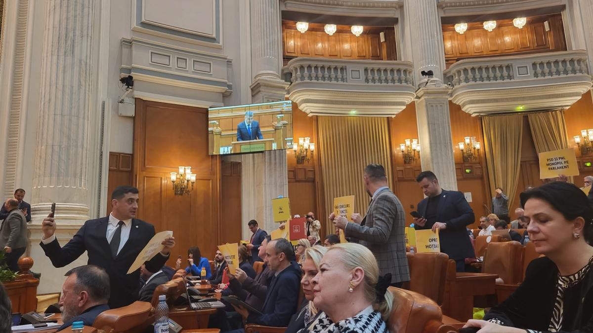 scandal-in-parlament-simion_91499900