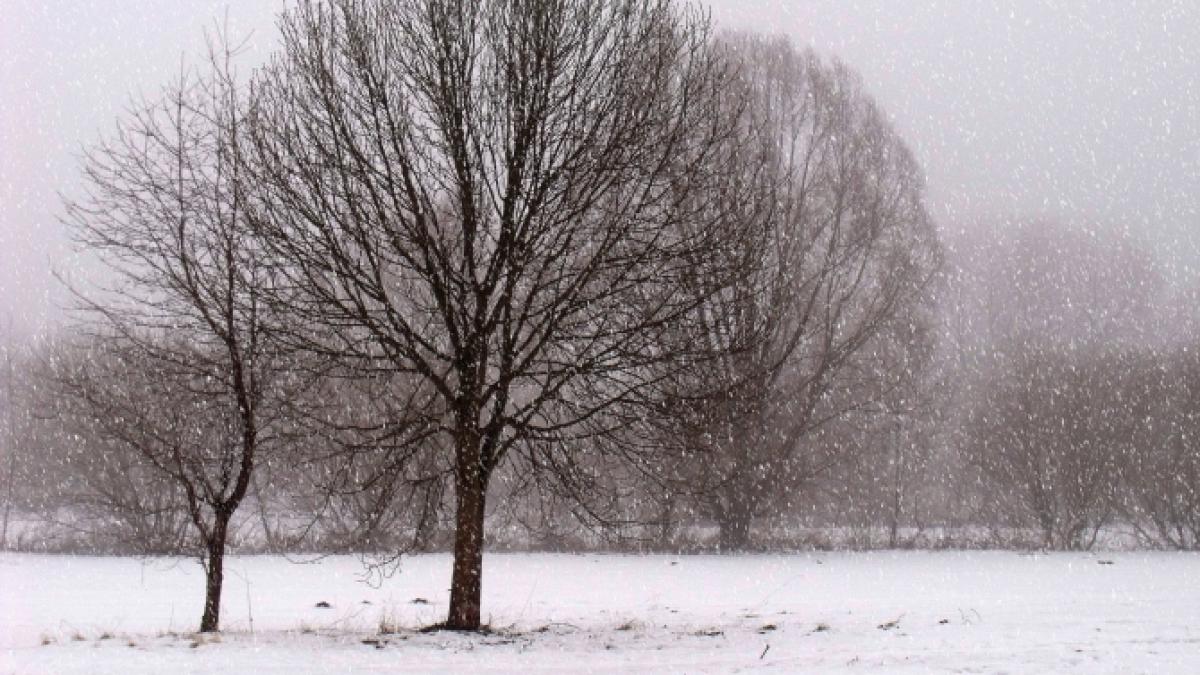 anm--alerta-meteo-intensificari-ale-vantului--peste-100-kmh-la-munte_97612300