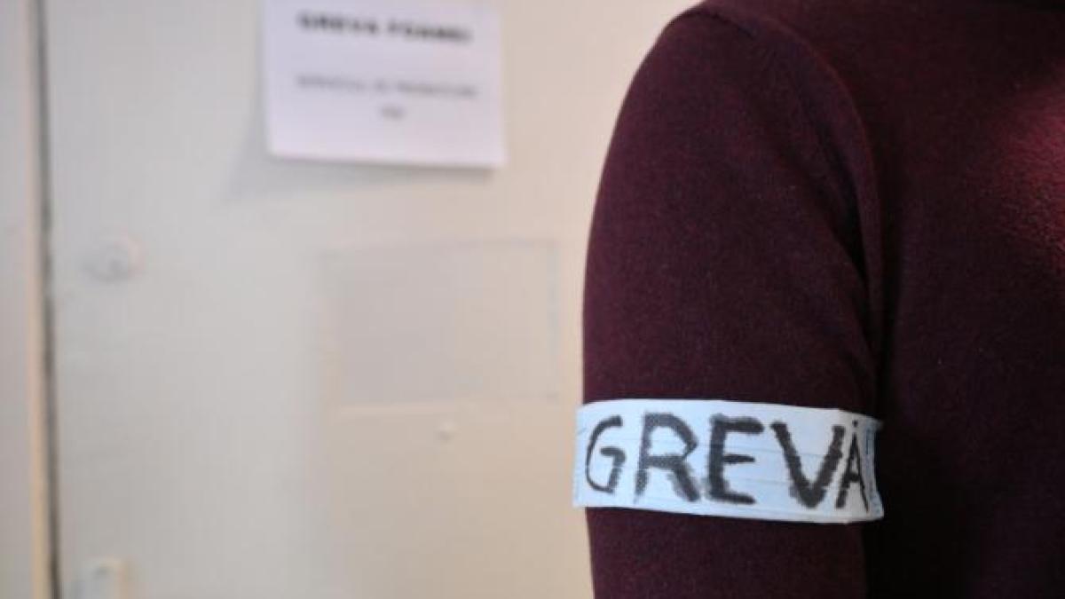 ministerul-finantelor--autoritatile-vamale-si-anaf-intra-in-greva-japoneza-pe-27-decembrie_12951400