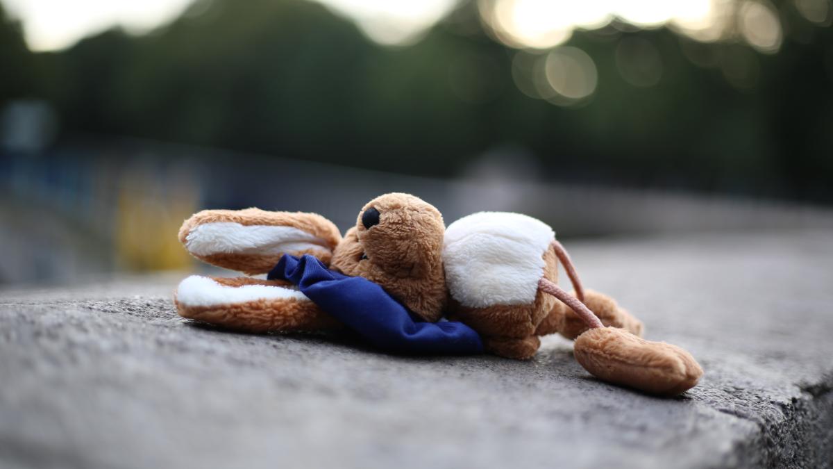 soarta-copiilor-din-orfelinate--mirela-vaida--semnal-de-alarma-sunt-crescuti-singuri--de-cele-mai-multe-ori-luati-abuziv-de-stat_56412700